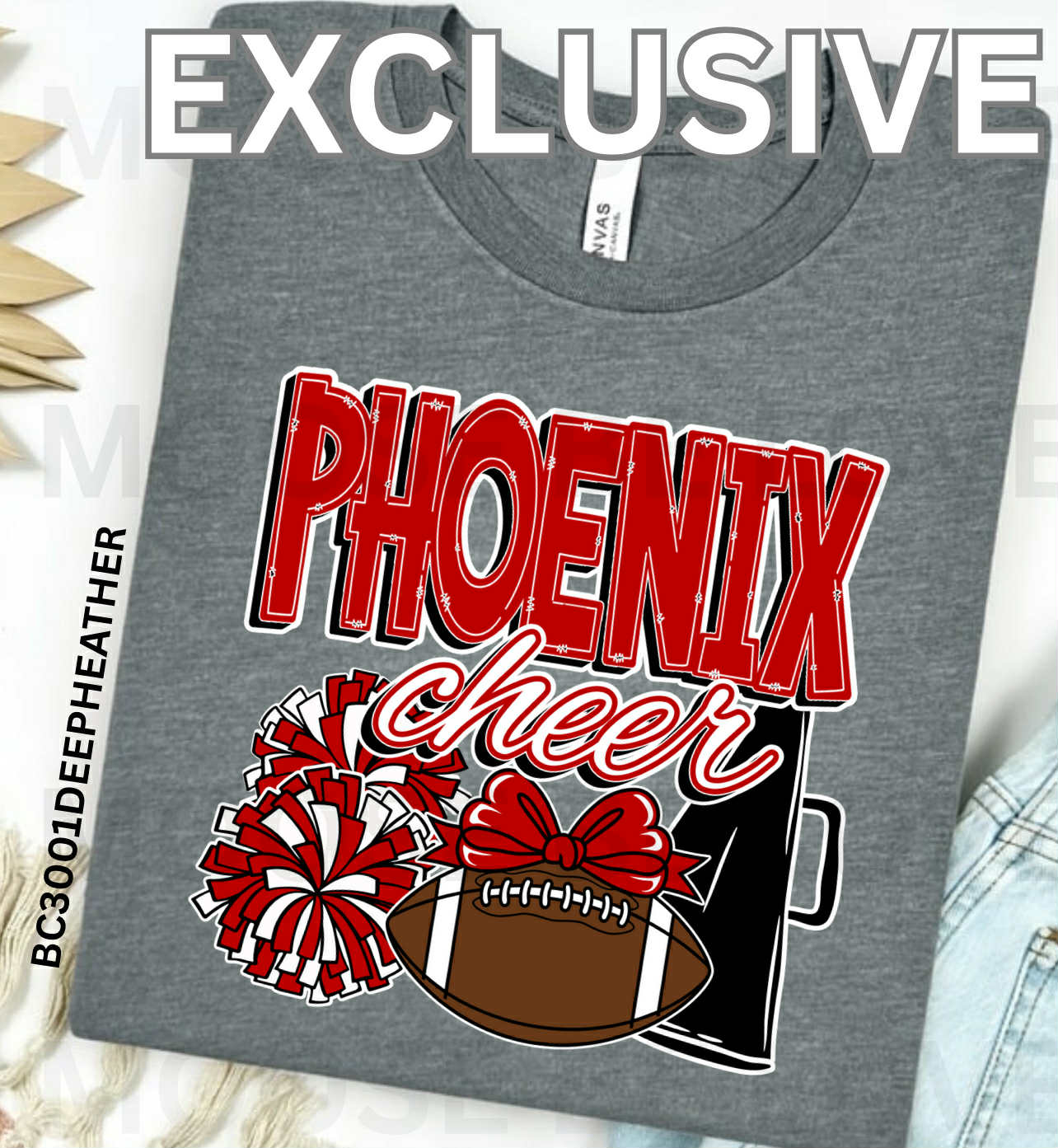 Mecklenburg Phoenix Cheer