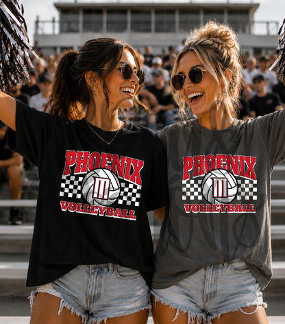 Phoenix Checkered #2 Volleyball
