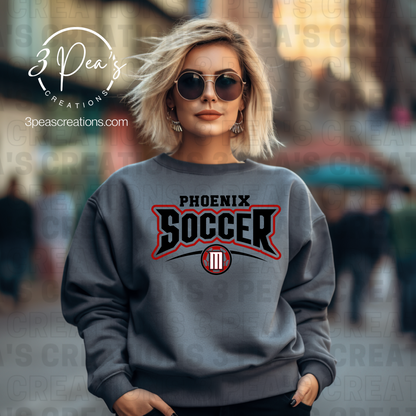 Phoenix Soccer #2