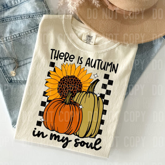 There Is Autumn In My Soul (SBB)