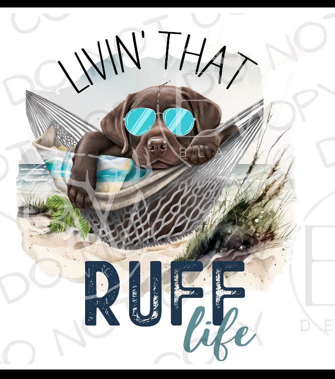 Youth Living That Rough Life