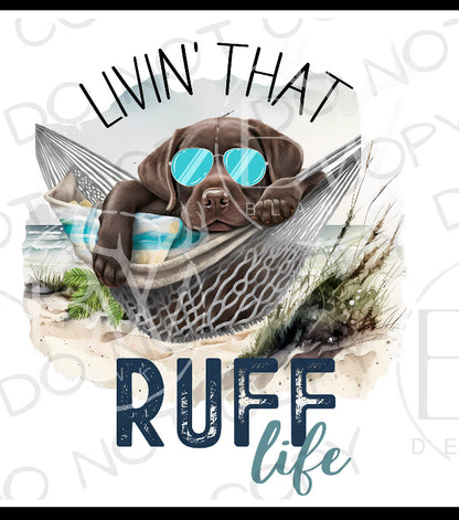 Youth Living That Rough Life