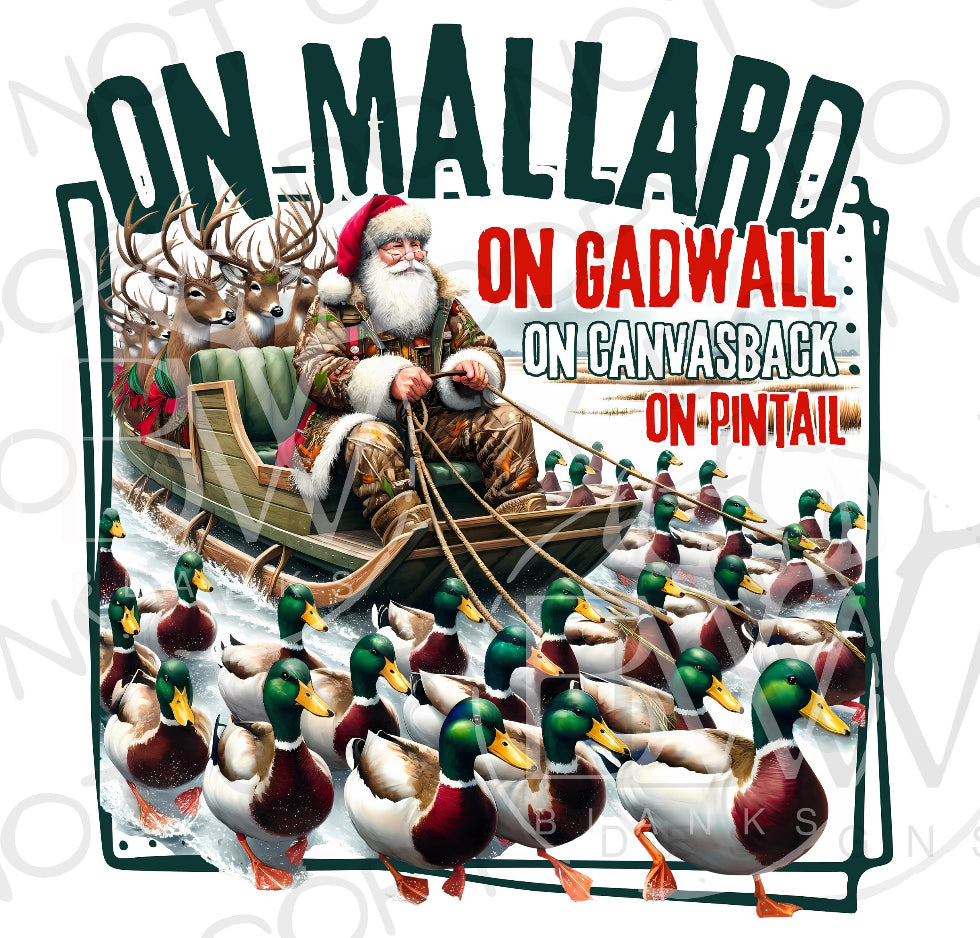 Youth On Mallard (E)