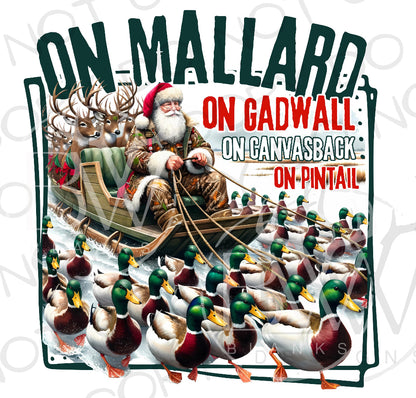 Youth On Mallard (E)