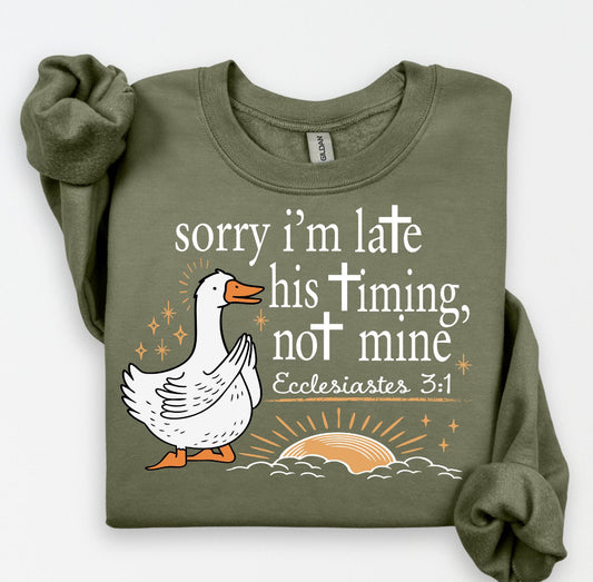 Sorry I am Late His Timing Not Mine
