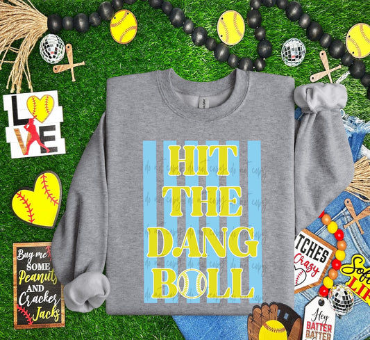Hit the Dang Ball (Softball)