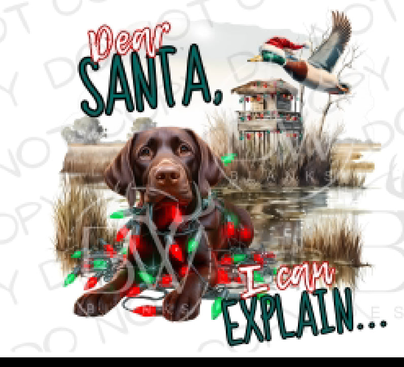 Youth Dear Santa I Can Explain Chocolate Lab (E)