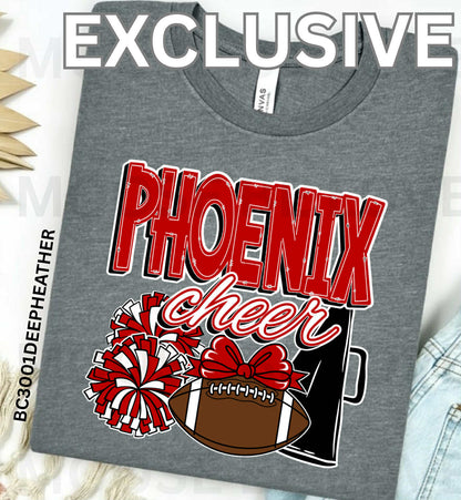 Mecklenburg Phoenix Cheer