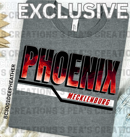 Youth Mecklenburg Phoenix Fire