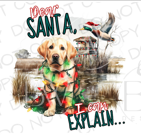 Youth Dear Santa I Can Explain Yellow Lab