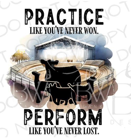 Youth Practice Like You Never Won