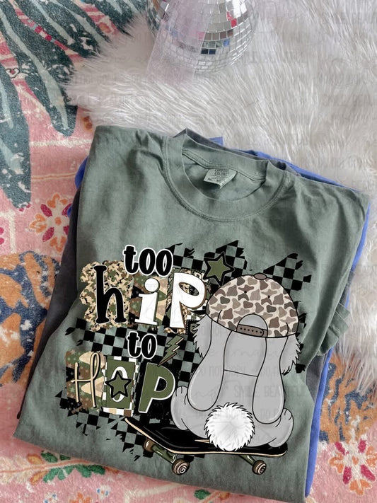 Youth Too Hip to Hop