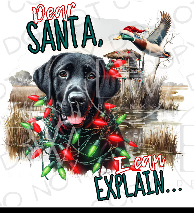 Youth Dear Santa I Can Explain Black Lab (E)