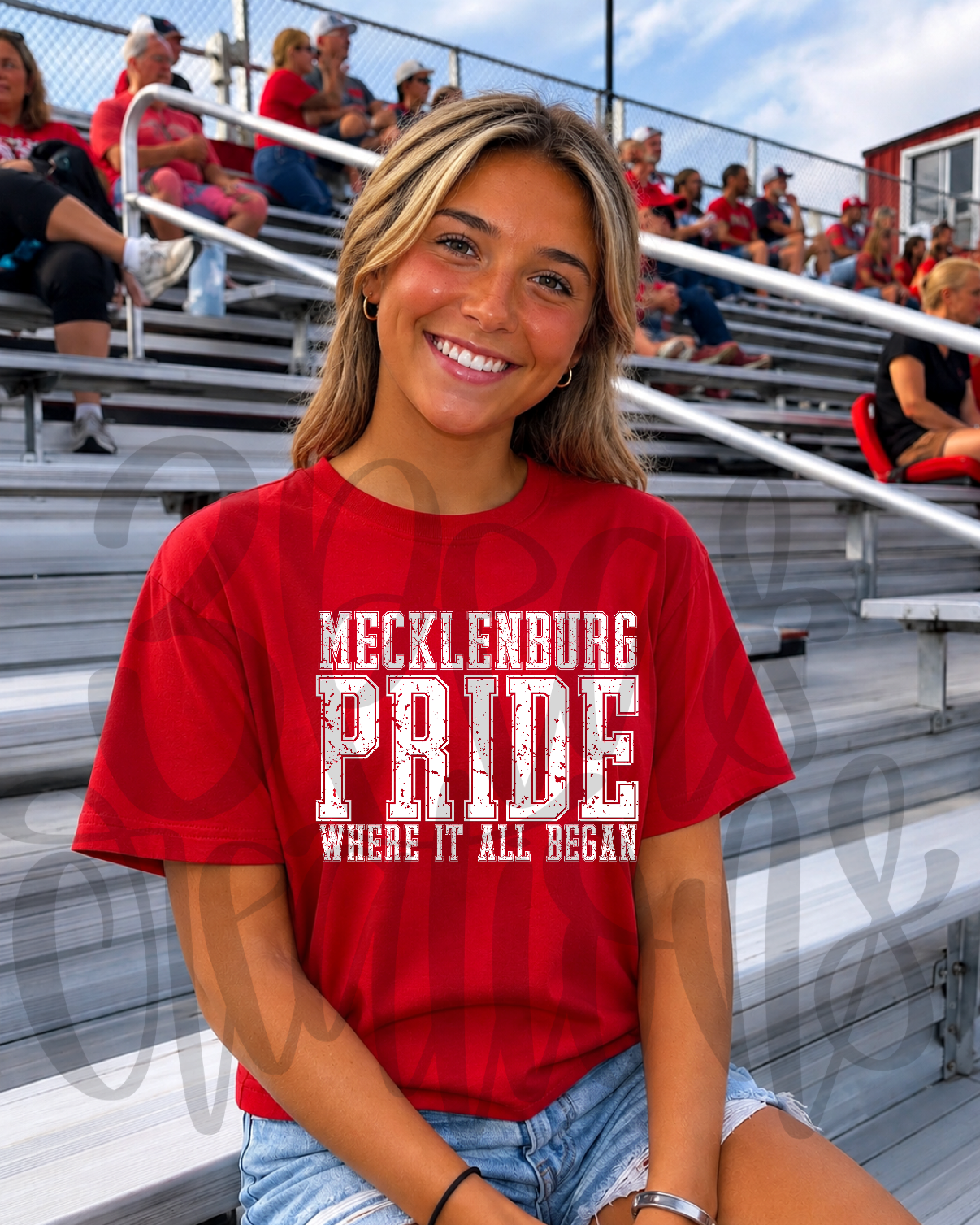 Mecklenburg Pride