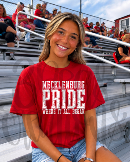 Mecklenburg Pride