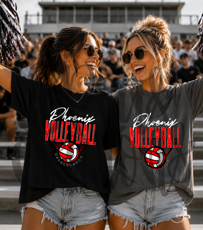 Mecklenburg Phoenix Volleyball